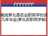 鹤岗萝北县农业职高学校读几年毕业(萝北农职高学制)