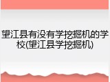 望江县有没有学挖掘机的学校(望江县学挖掘机)