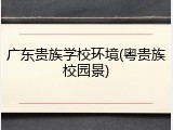 广东贵族学校环境(粤贵族校园景)