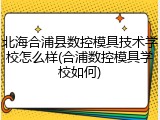 北海合浦县数控模具技术学校怎么样(合浦数控模具学校如何)
