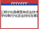 三明宁化县哪里有农业技术学校啊(宁化农业技校在哪)