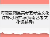 海南贵南县高考艺考生文化课补习班推荐(海南艺考文化课辅导)
