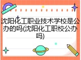 沈阳化工职业技术学校是公办的吗(沈阳化工职校公办吗)