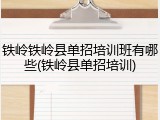 铁岭铁岭县单招培训班有哪些(铁岭县单招培训)
