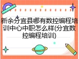 新余分宜县哪有数控编程培训中心中职怎么样(分宜数控编程培训)