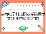 湖南电子科技职业学院周才文(湖南电科周才文)