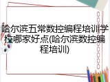哈尔滨五常数控编程培训学校哪家好点(哈尔滨数控编程培训)