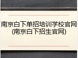 南京白下单招培训学校官网(南京白下招生官网)