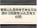 黄南尖扎县高考艺考生文化课补习班推荐(尖扎艺考文化班)