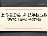 上海松江城市科技学校分数线(松江城科分数线)