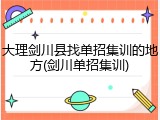 大理剑川县找单招集训的地方(剑川单招集训)