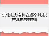 东北电力专科在哪个城市(东北电专在哪)