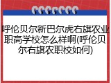 呼伦贝尔新巴尔虎右旗农业职高学校怎么样啊(呼伦贝尔右旗农职校如何)