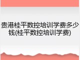 贵港桂平数控培训学费多少钱(桂平数控培训学费)