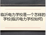 临沂电力学校是一个怎样的学校(临沂电力学校如何)