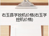 右玉县学挖机价格(右玉学挖机价格)