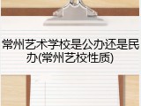 常州艺术学校是公办还是民办(常州艺校性质)