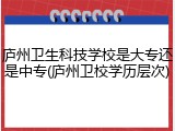 庐州卫生科技学校是大专还是中专(庐州卫校学历层次)