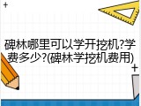 碑林哪里可以学开挖机?学费多少?(碑林学挖机费用)