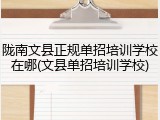 陇南文县正规单招培训学校在哪(文县单招培训学校)
