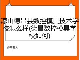 凉山德昌县数控模具技术学校怎么样(德昌数控模具学校如何)