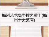 梅州艺术高中排名前十(梅州十大艺高)