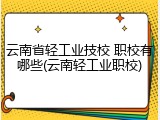 云南省轻工业技校 职校有哪些(云南轻工业职校)