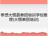孝感大悟县单招培训学校推荐(大悟单招培训)