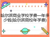 哈尔滨商业学校学费一年多少钱(哈尔滨商校年学费)