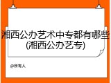 湘西公办艺术中专都有哪些(湘西公办艺专)