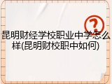 昆明财经学校职业中学怎么样(昆明财校职中如何)