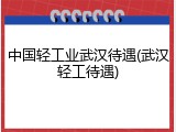中国轻工业武汉待遇(武汉轻工待遇)