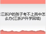 江浙沪的孩子考不上高中怎么办(江浙沪升学困境)