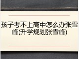 孩子考不上高中怎么办张雪峰(升学规划张雪峰)