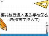 樱花校园进入贵族学校怎么进(贵族学校入学)