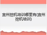 宜州挖机培训哪里有(宜州挖机培训)