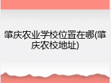 肇庆农业学校位置在哪(肇庆农校地址)