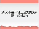 武汉市第一轻工业地址(武汉一轻地址)