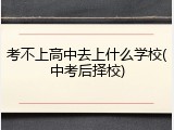 考不上高中去上什么学校(中考后择校)