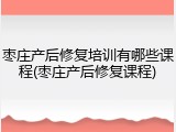 枣庄产后修复培训有哪些课程(枣庄产后修复课程)