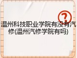 温州科技职业学院有没有汽修(温州汽修学院有吗)