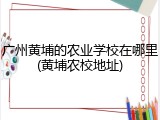 广州黄埔的农业学校在哪里(黄埔农校地址)