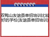 双鸭山友谊县单招培训比较好的学校(友谊县单招培训)