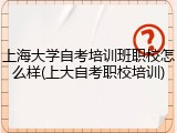 上海大学自考培训班职校怎么样(上大自考职校培训)