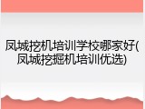 凤城挖机培训学校哪家好(凤城挖掘机培训优选)