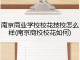 南京商业学校校花技校怎么样(南京商校校花如何)