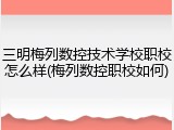 三明梅列数控技术学校职校怎么样(梅列数控职校如何)