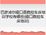 巴彦淖尔磴口县数控车床培训学校有哪些(磴口数控车床培训)
