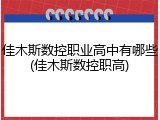 佳木斯数控职业高中有哪些(佳木斯数控职高)
