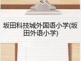 坂田科技城外国语小学(坂田外语小学)